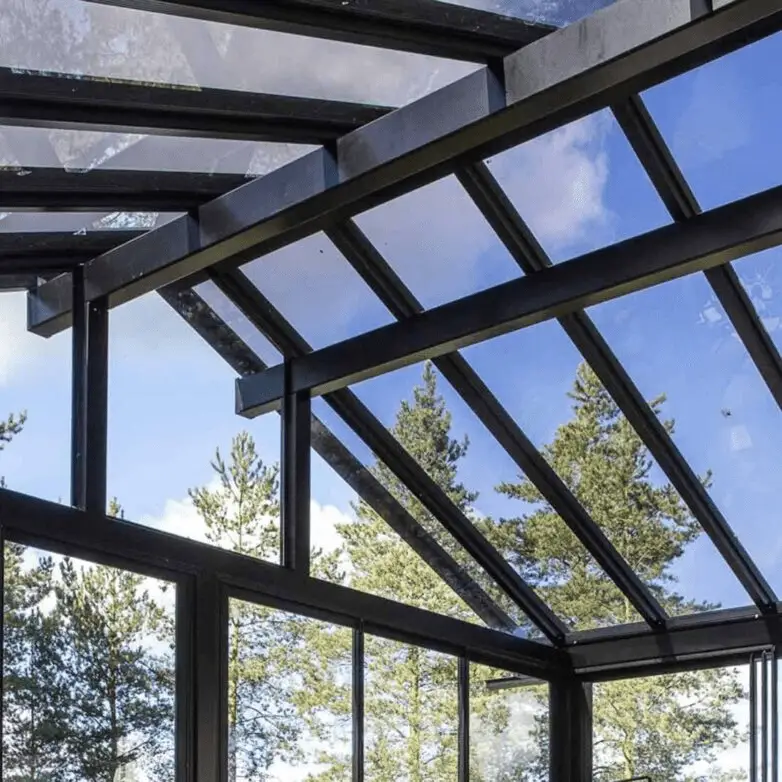 Glass roof system with black framing, providing a clear overhead view of the sky and surrounding trees.